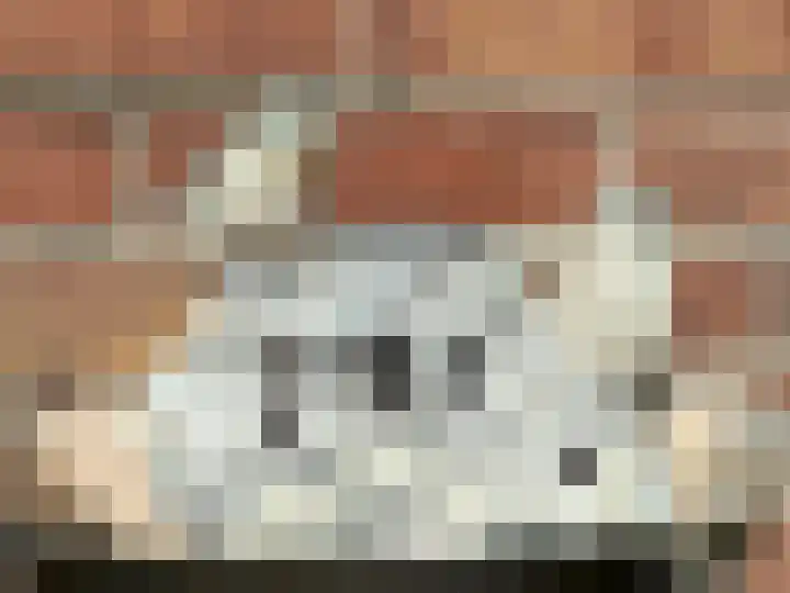Ternatestraat 7 Haarlem thumbnail 6
