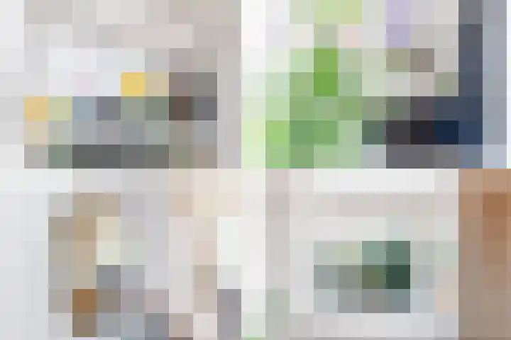 Ternatestraat 81 Delft thumbnail 9