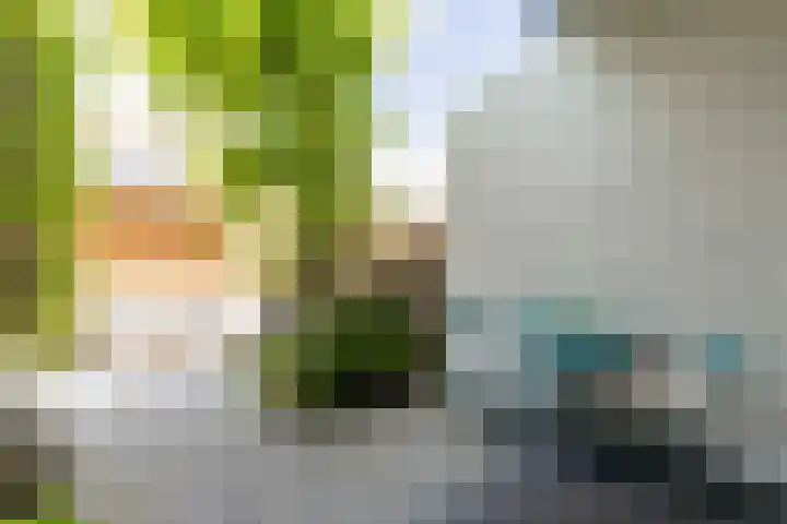 Ternatestraat 95 Delft thumbnail 24