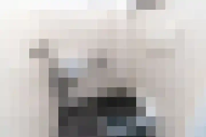 Ternatestraat 95 Delft thumbnail 36