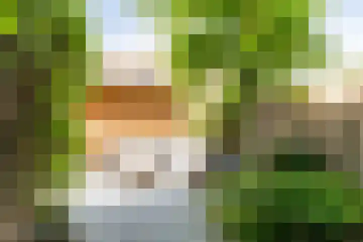 Ternatestraat 95 Delft thumbnail 4