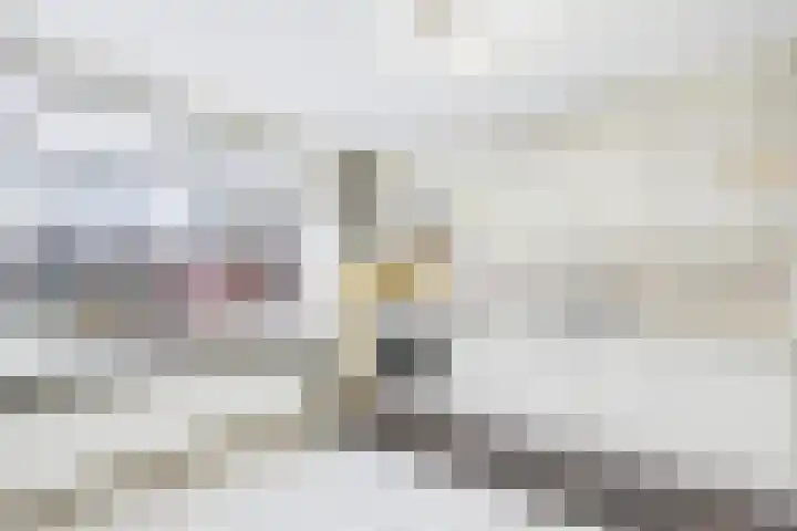 Terneuzensestraat 18 Zaamslag thumbnail 10