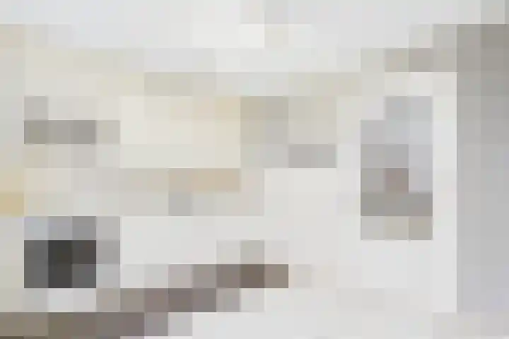Terneuzensestraat 18 Zaamslag thumbnail 11