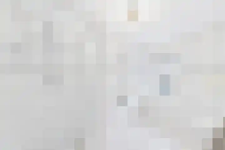 Terneuzensestraat 18 Zaamslag thumbnail 15
