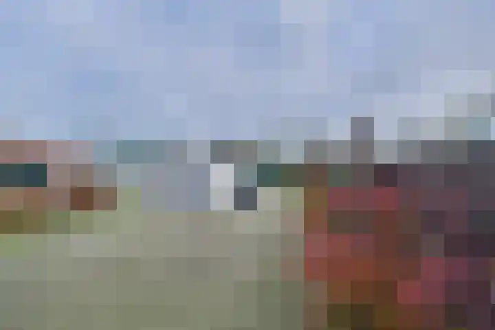 Terneuzensestraat 18 Zaamslag thumbnail 19