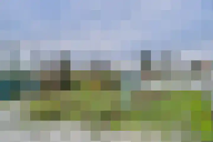 Terneuzensestraat 18 Zaamslag thumbnail 20