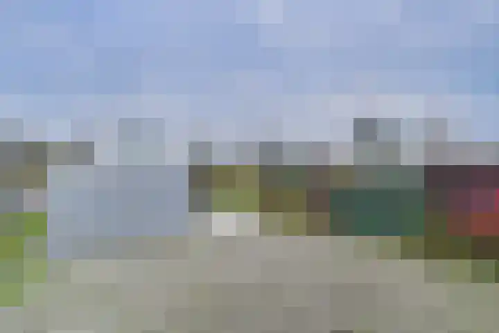 Terneuzensestraat 18 Zaamslag thumbnail 23