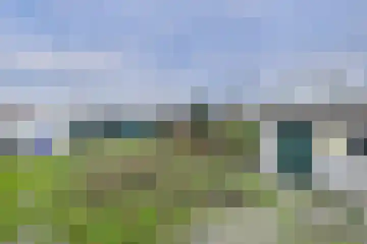 Terneuzensestraat 18 Zaamslag thumbnail 4