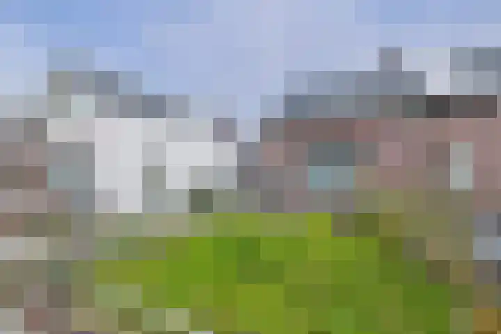 Terneuzensestraat 18 Zaamslag thumbnail 5