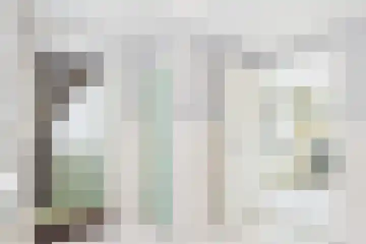 Terneuzensestraat 18 Zaamslag thumbnail 6