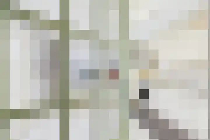 Terneuzensestraat 18 Zaamslag thumbnail 9