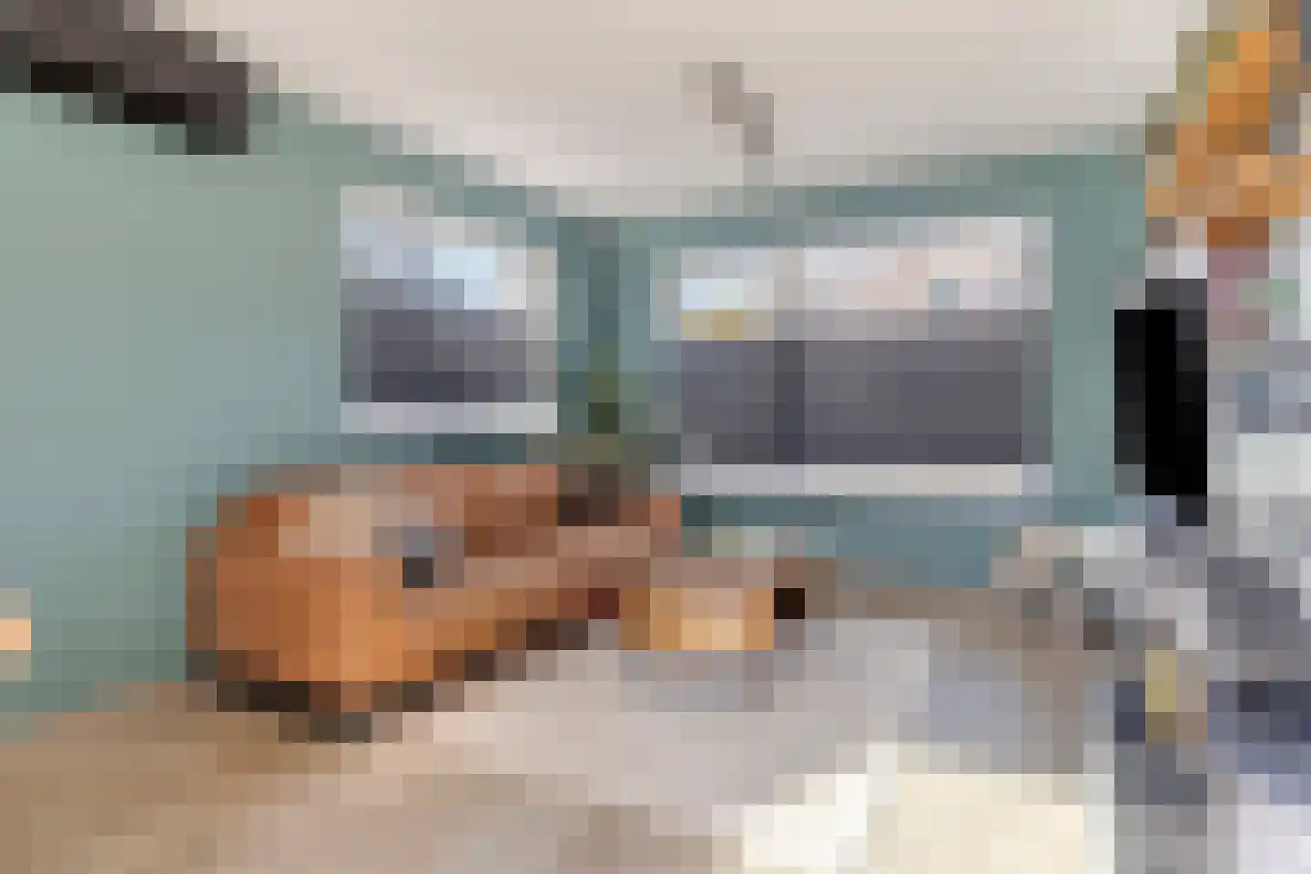 Terneuzensestraat 25 Zaamslag thumbnail 11