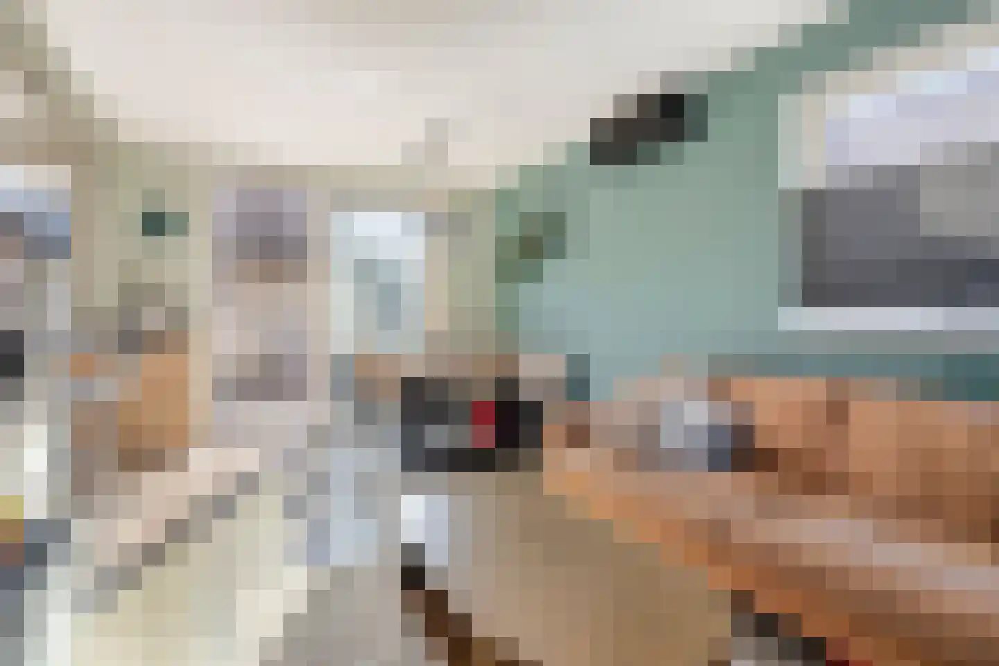 Terneuzensestraat 25 Zaamslag thumbnail 14