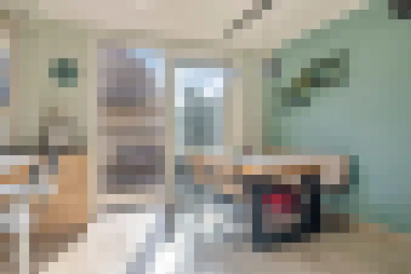 Terneuzensestraat 25 Zaamslag thumbnail 15