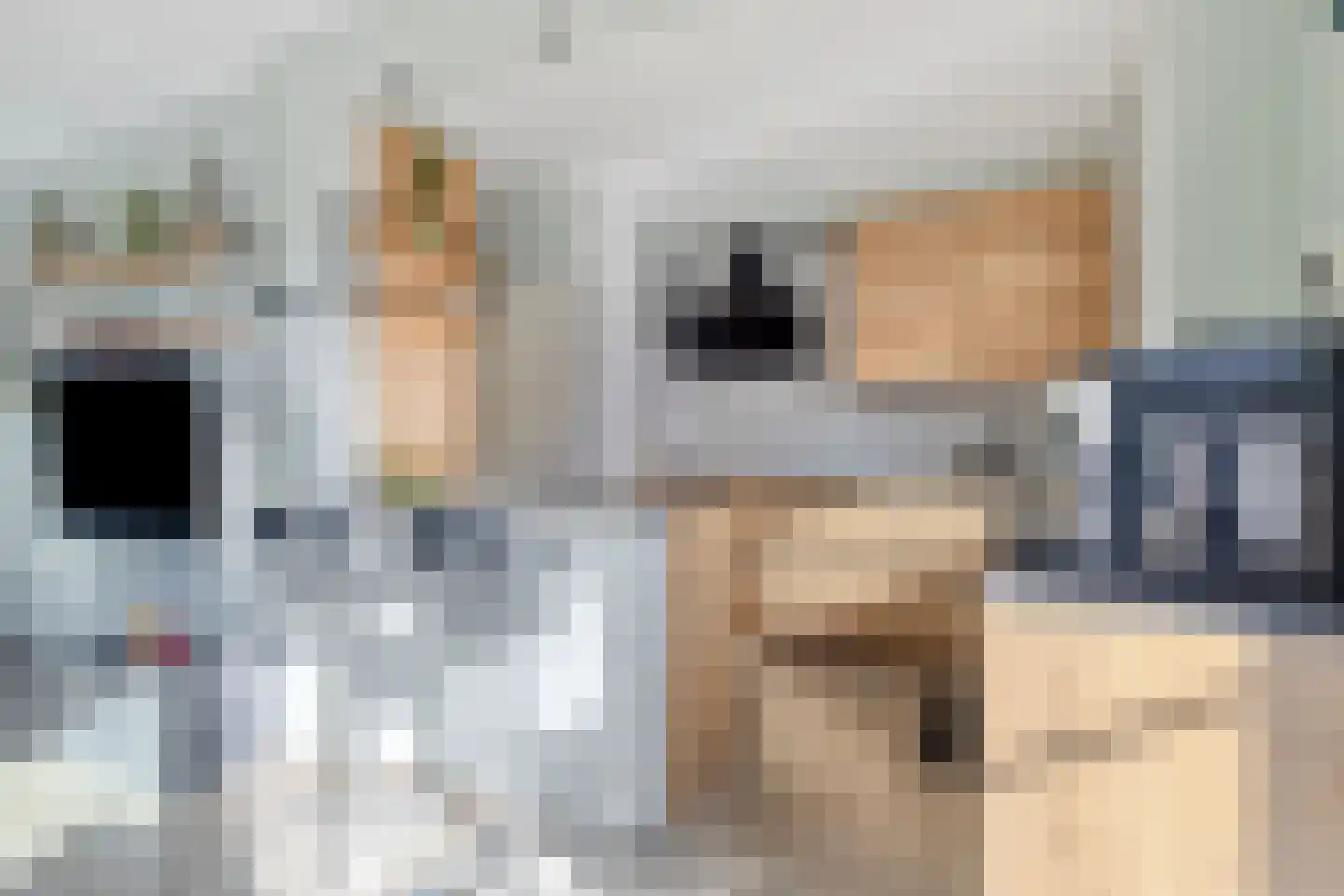 Terneuzensestraat 25 Zaamslag thumbnail 17
