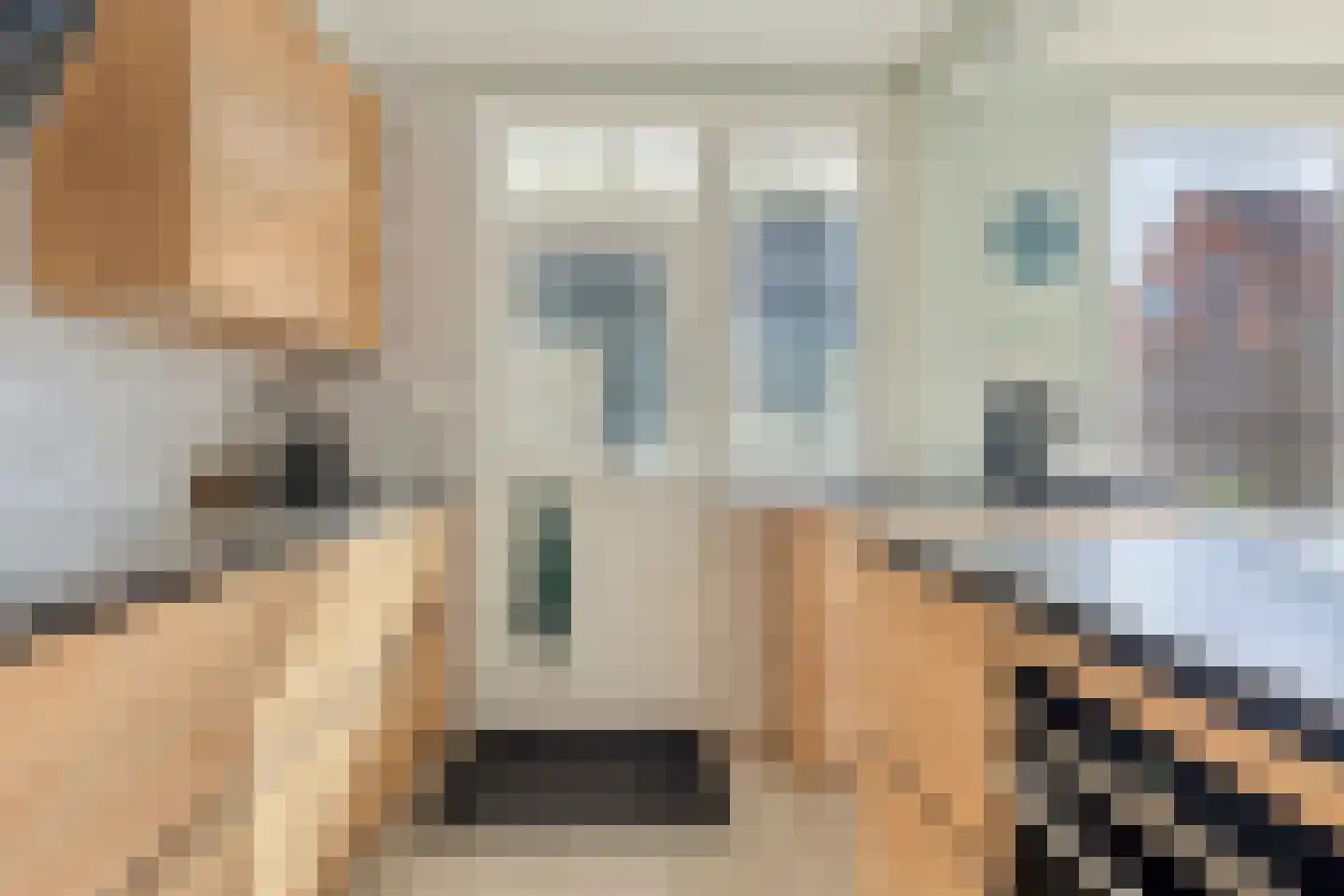 Terneuzensestraat 25 Zaamslag thumbnail 20