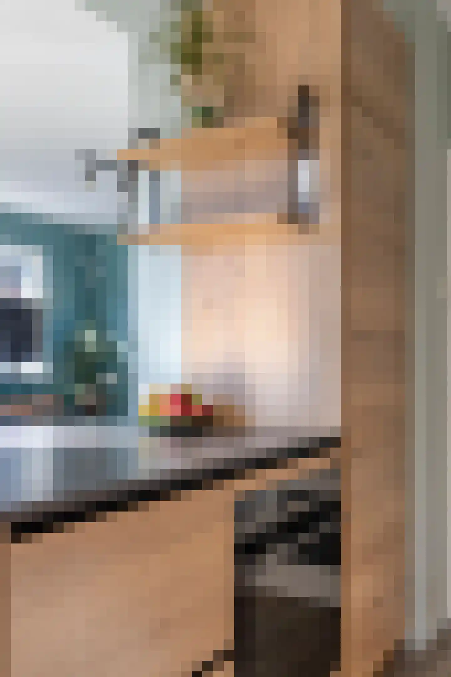 Terneuzensestraat 25 Zaamslag thumbnail 22