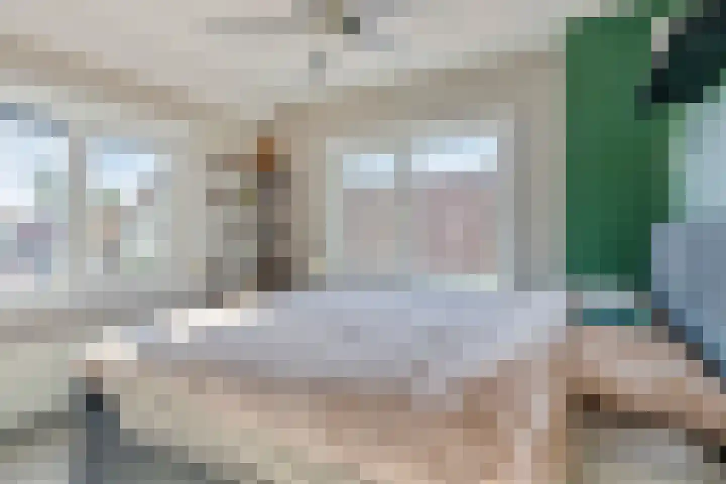 Terneuzensestraat 25 Zaamslag thumbnail 24