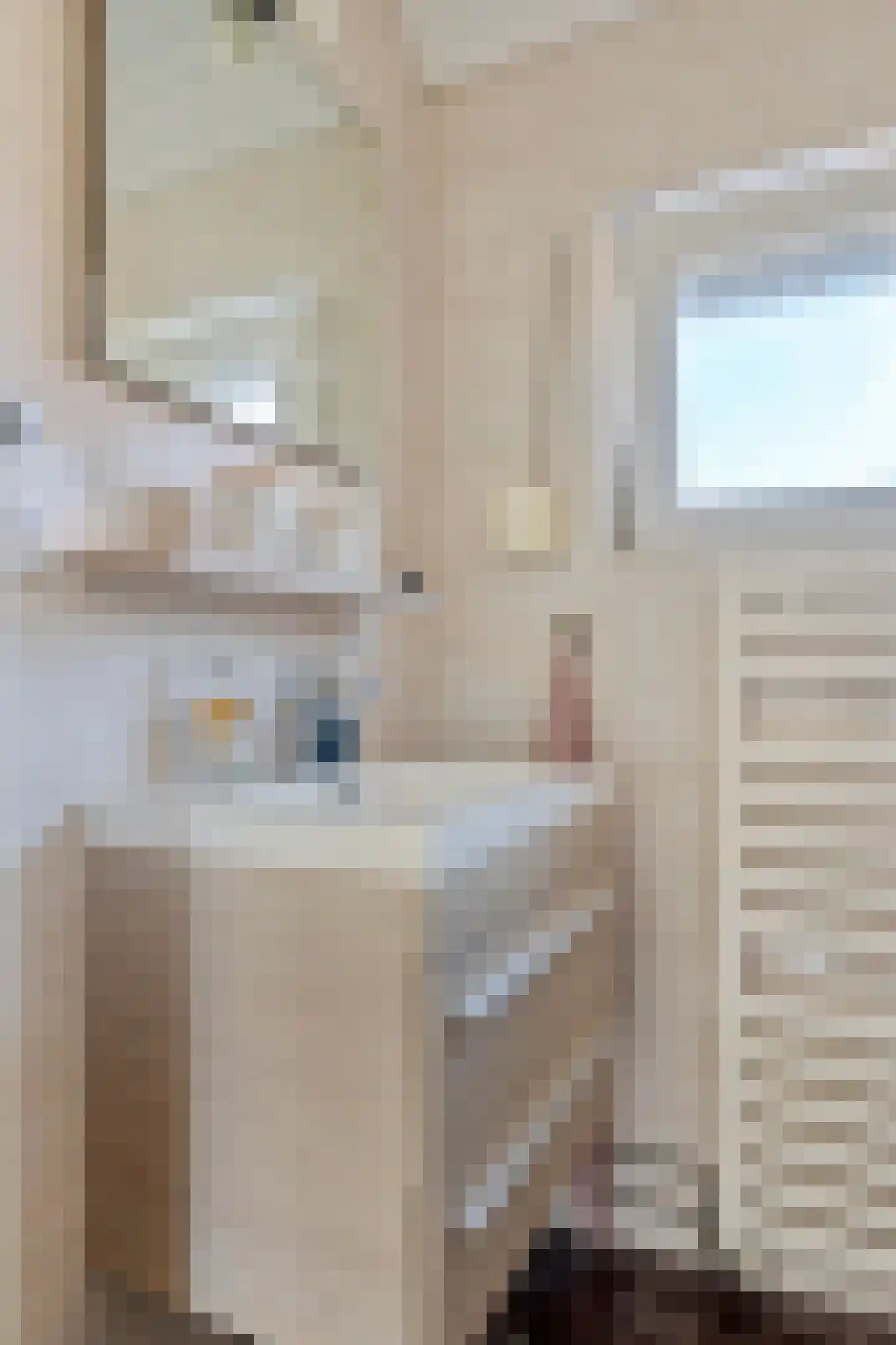 Terneuzensestraat 25 Zaamslag thumbnail 25