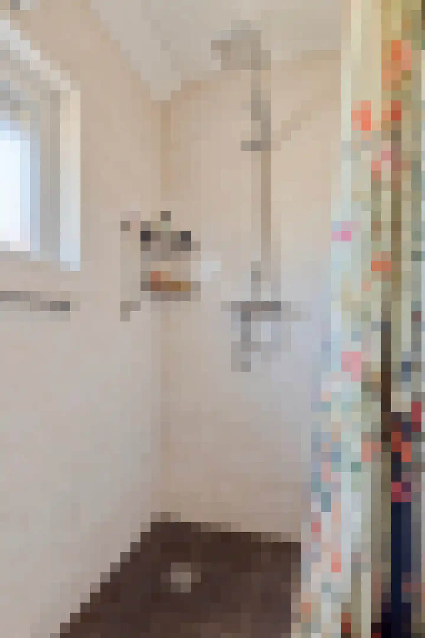 Terneuzensestraat 25 Zaamslag thumbnail 26