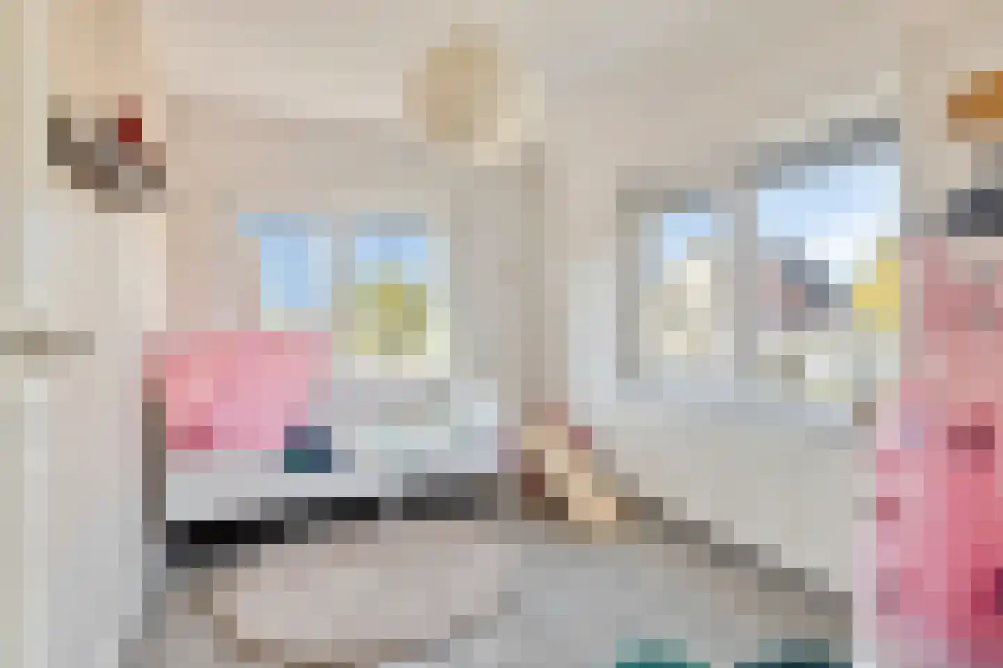 Terneuzensestraat 25 Zaamslag thumbnail 27