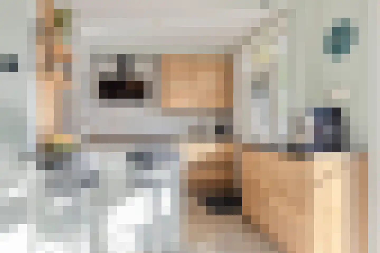 Terneuzensestraat 25 Zaamslag thumbnail 4