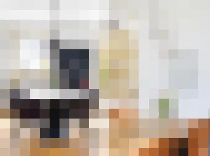 Terneuzensestraat 26 Zaamslag thumbnail 12