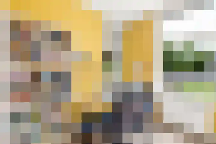 Terneuzensestraat 26 Zaamslag thumbnail 20