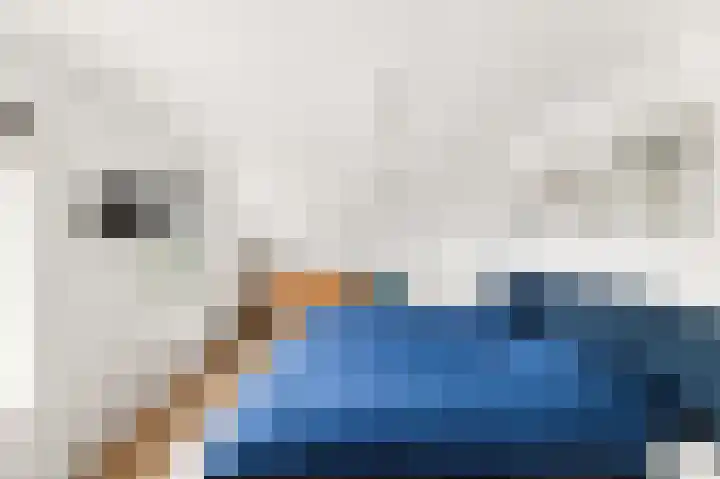 Terneuzensestraat 26 Zaamslag thumbnail 25