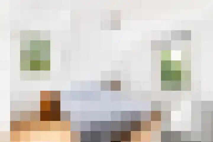Terneuzensestraat 26 Zaamslag thumbnail 27