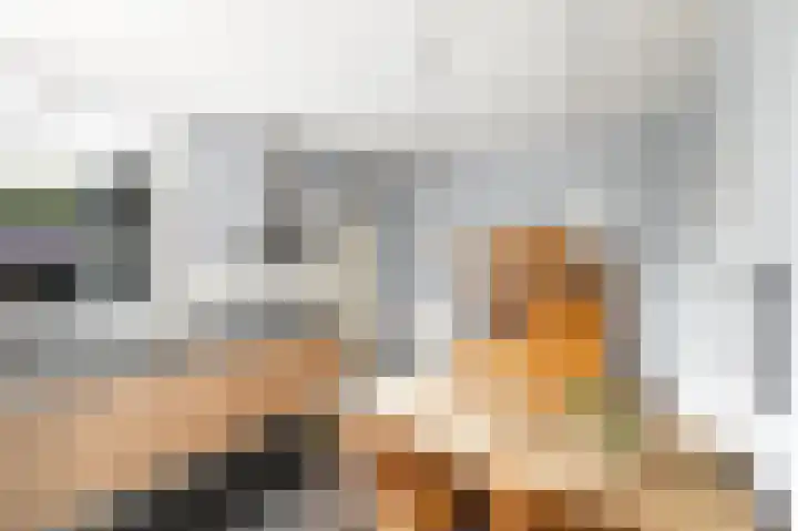 Terneuzensestraat 26 Zaamslag foto 3