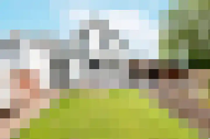 Terneuzensestraat 26 Zaamslag thumbnail 35