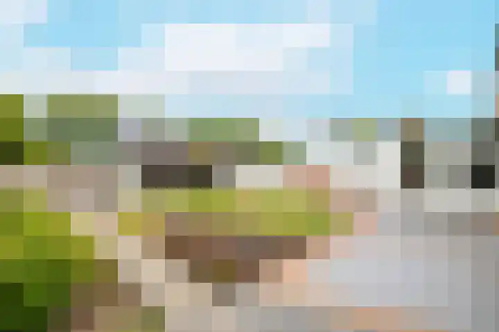 Terneuzensestraat 26 Zaamslag thumbnail 37
