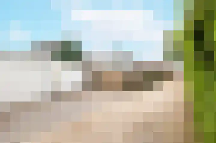 Terneuzensestraat 26 Zaamslag thumbnail 39