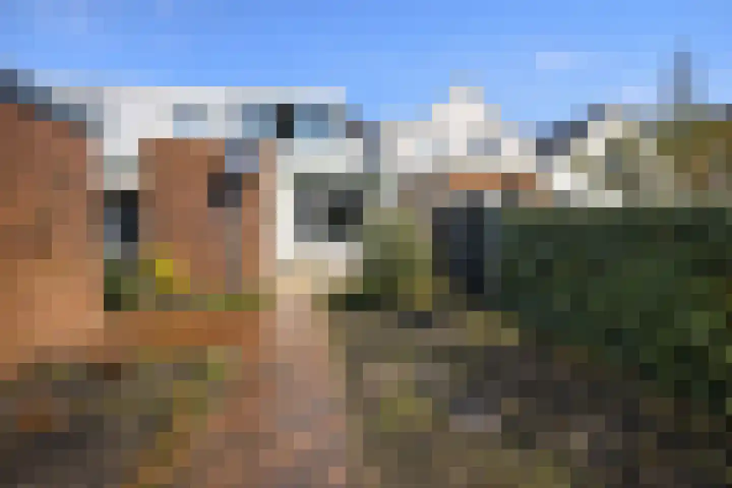 Terneuzensestraat 45 Zaamslag thumbnail 18