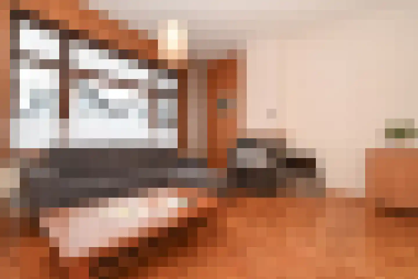 Terneuzensestraat 45 Zaamslag thumbnail 4