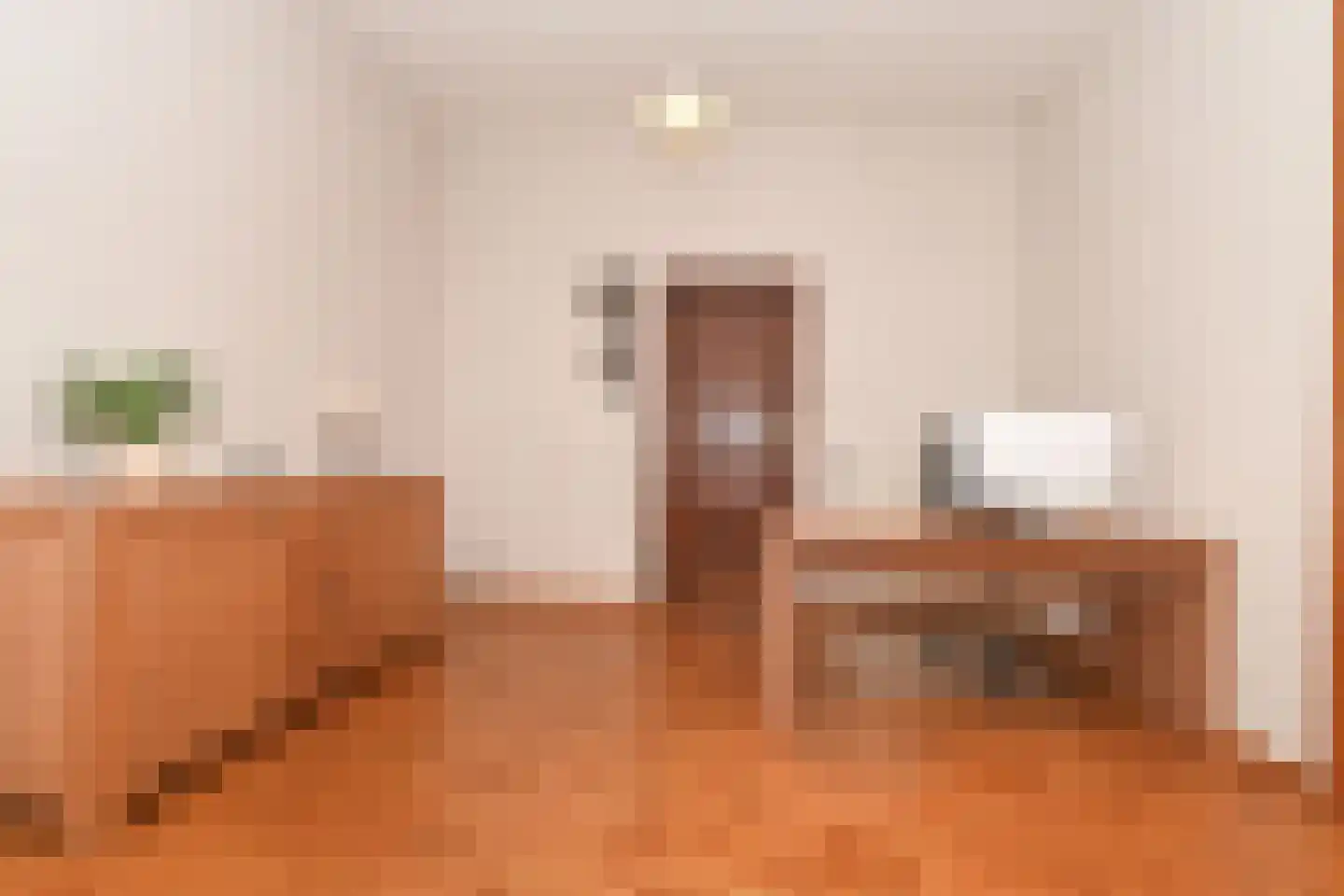 Terneuzensestraat 45 Zaamslag thumbnail 5