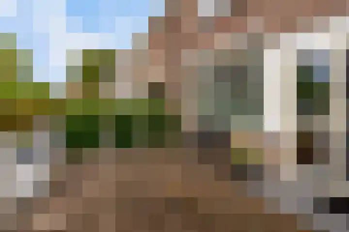 Terneuzenstraat 10 Almere thumbnail 5