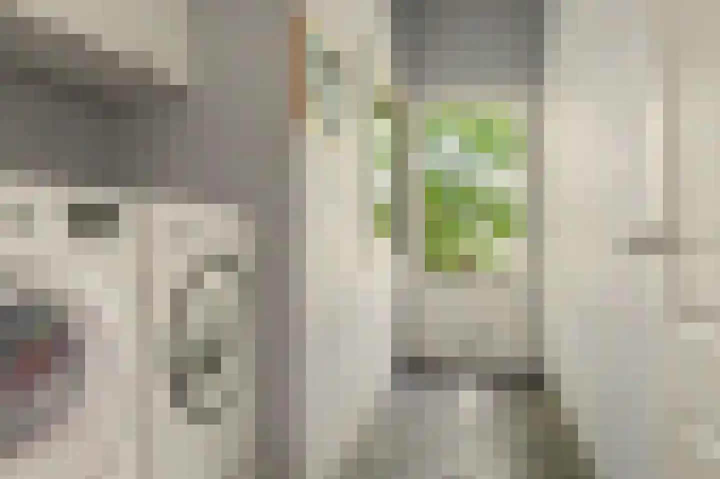 Terover 3 a Alphen thumbnail 31