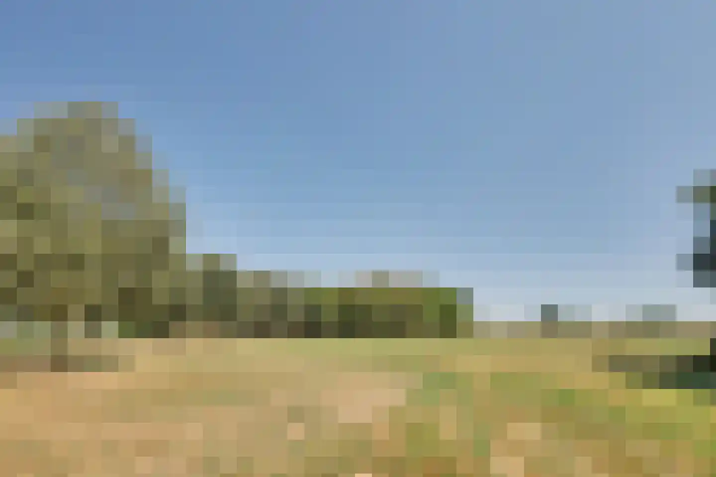 Terover 3 a Alphen thumbnail 4