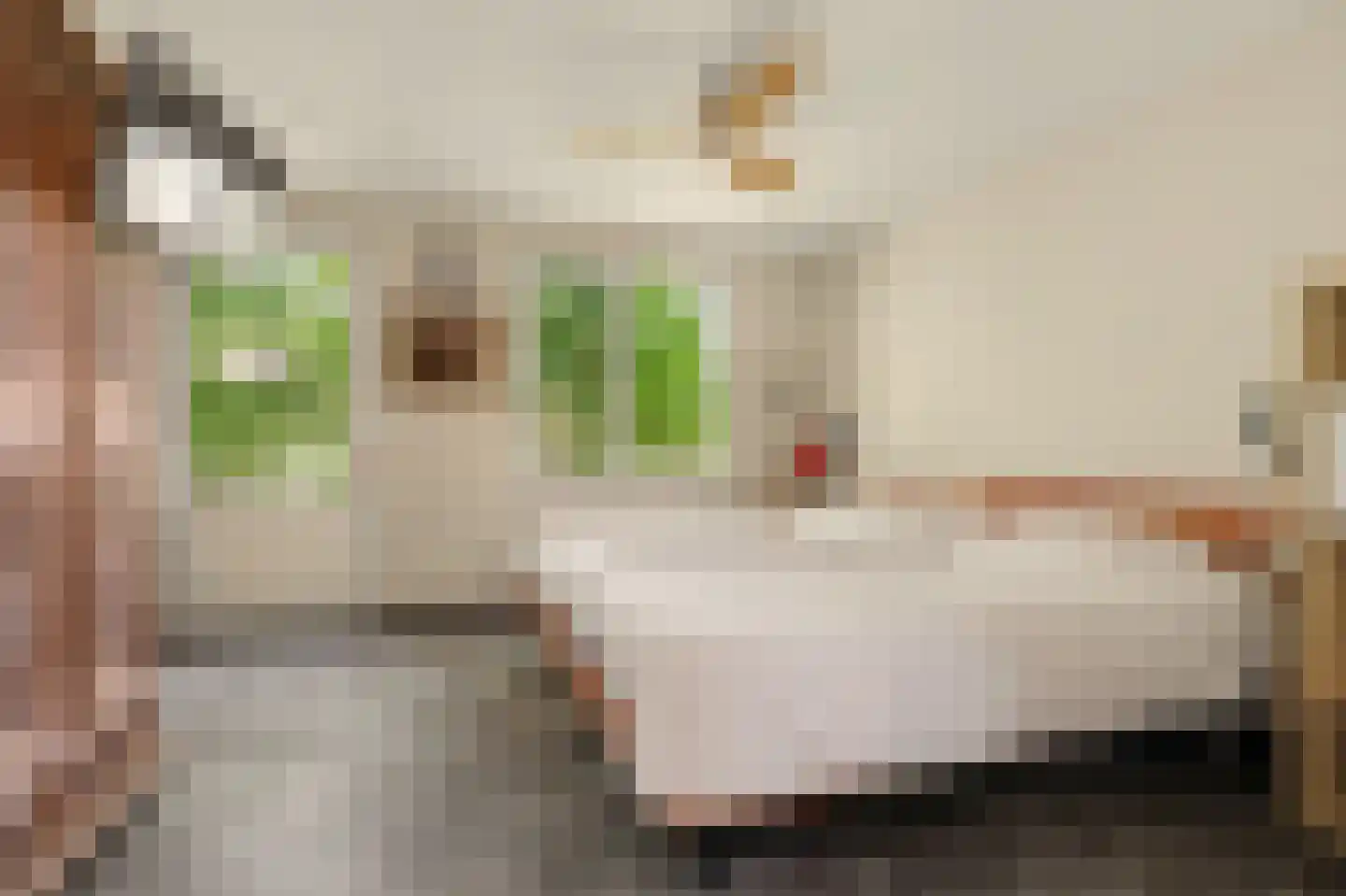 Terover 3 a Alphen thumbnail 42