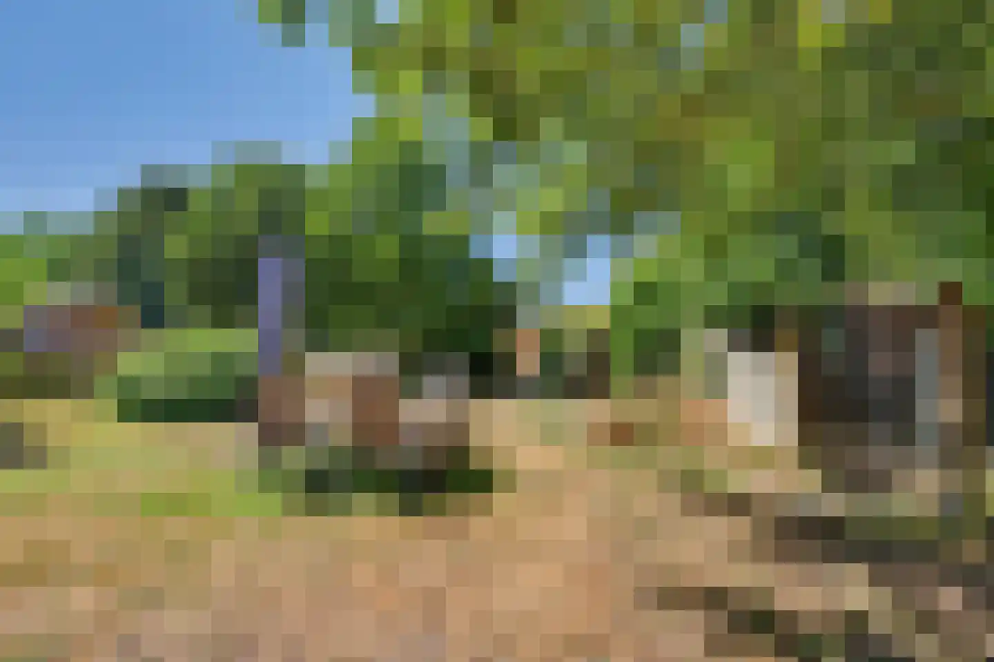 Terover 3 a Alphen thumbnail 60