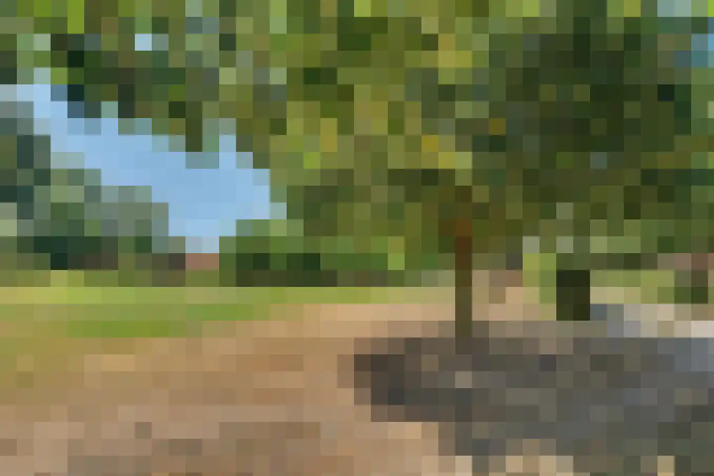 Terover 3 a Alphen thumbnail 65