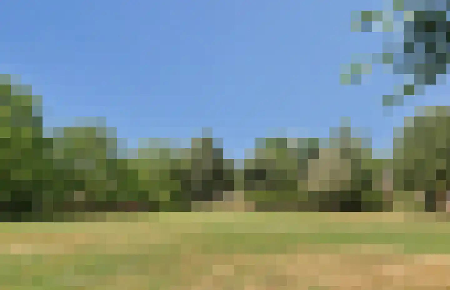 Terover 3 a Alphen thumbnail 66