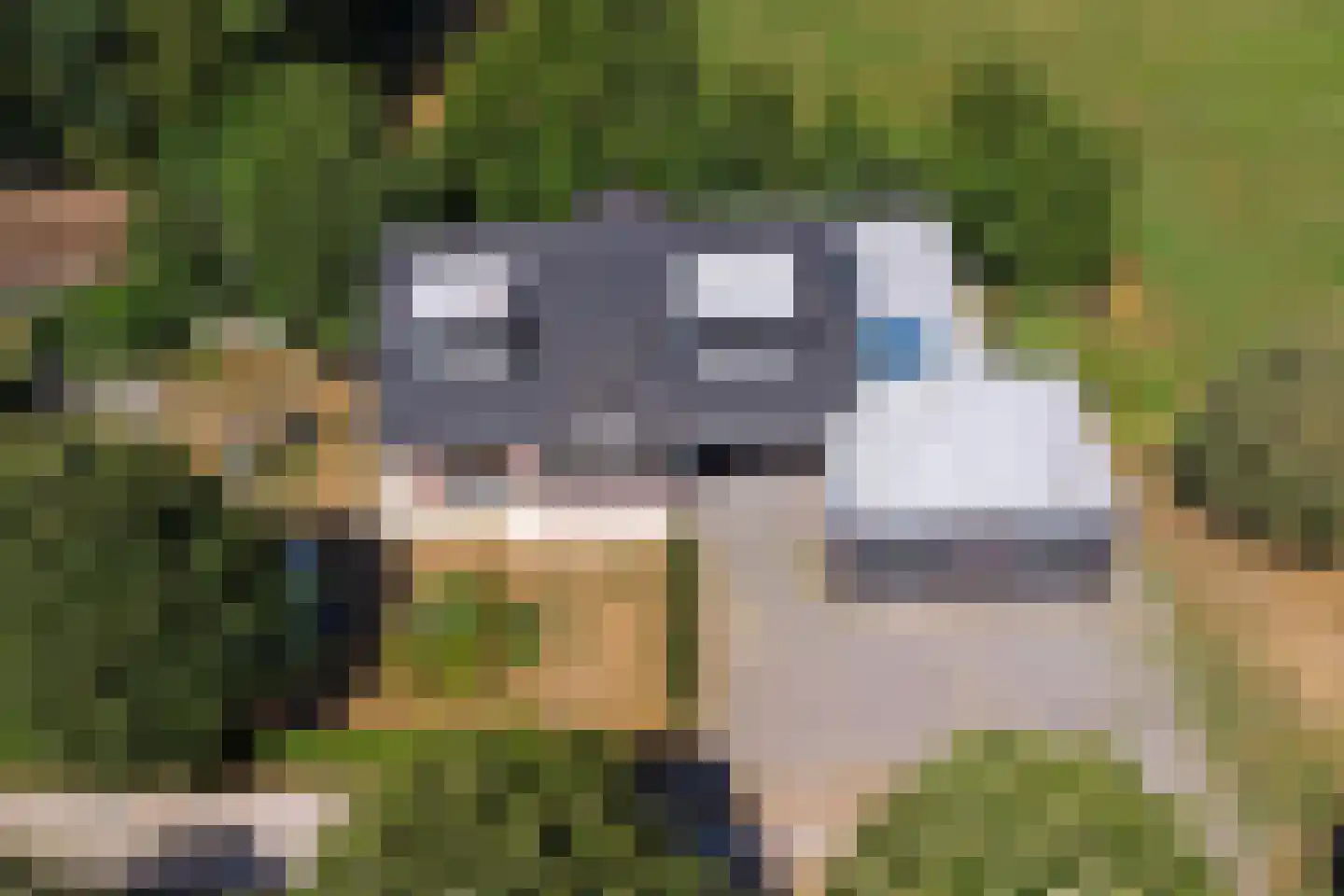 Terover 3 a Alphen thumbnail 76