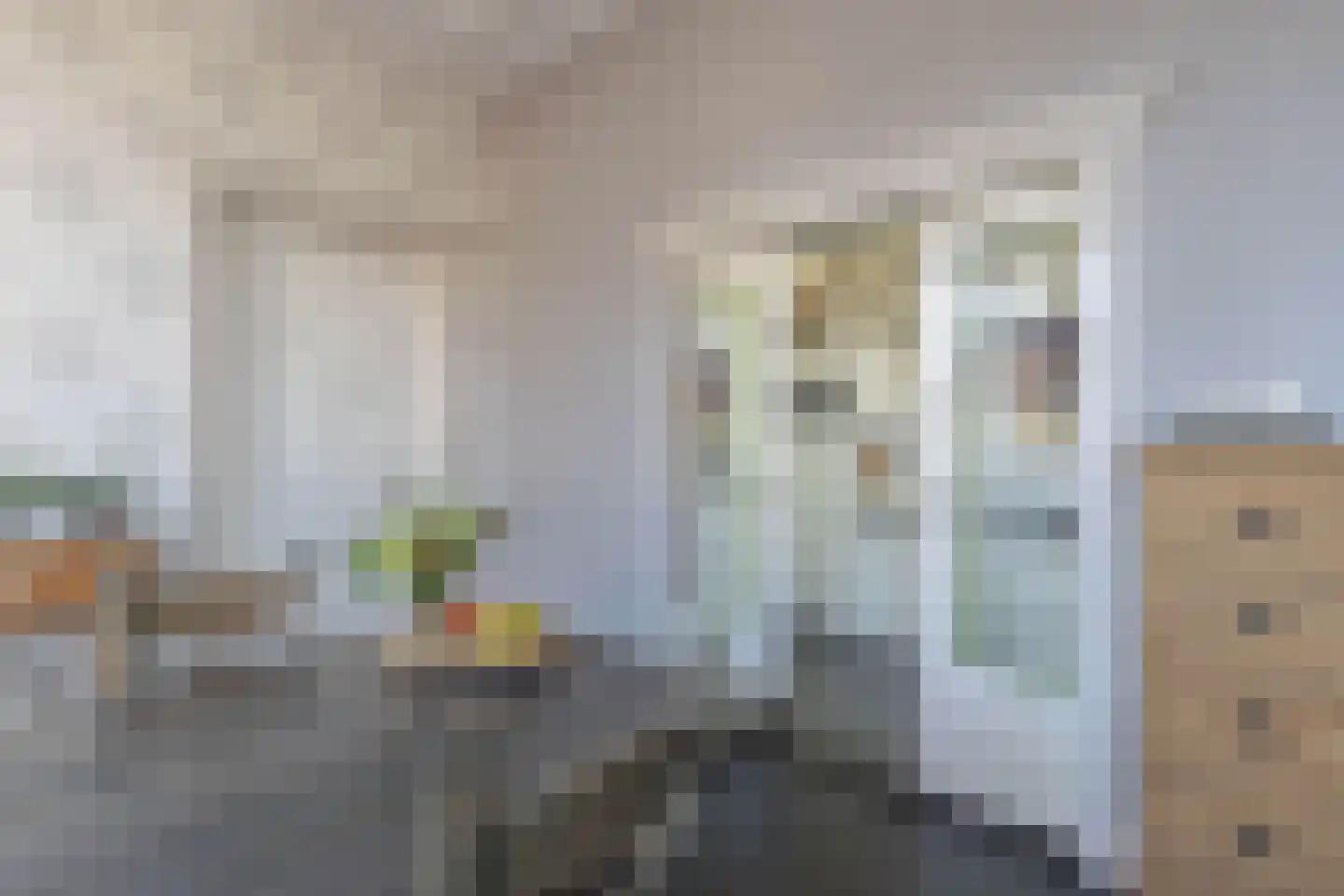 Terp 1 Sexbierum thumbnail 14