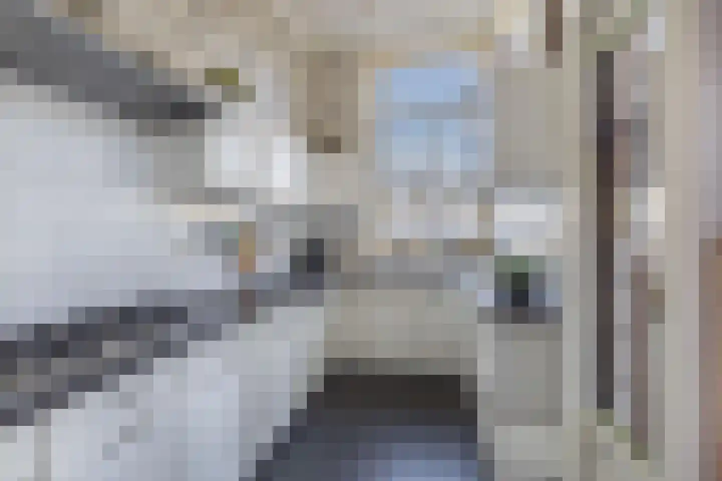 Terp 1 Sexbierum thumbnail 17