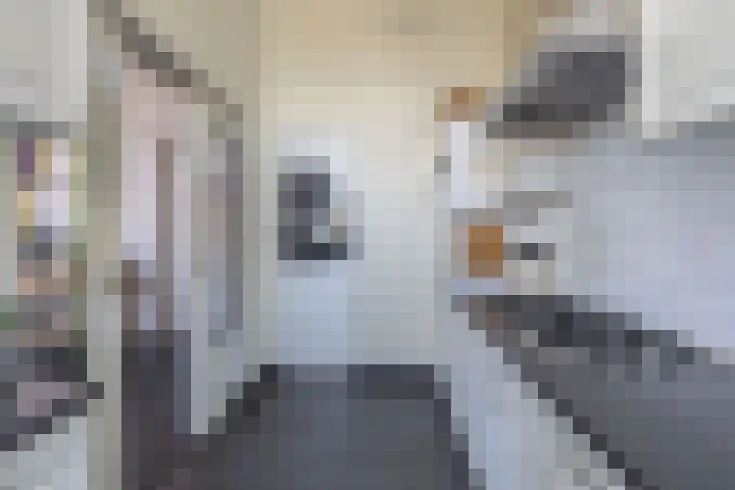 Terp 1 Sexbierum thumbnail 18