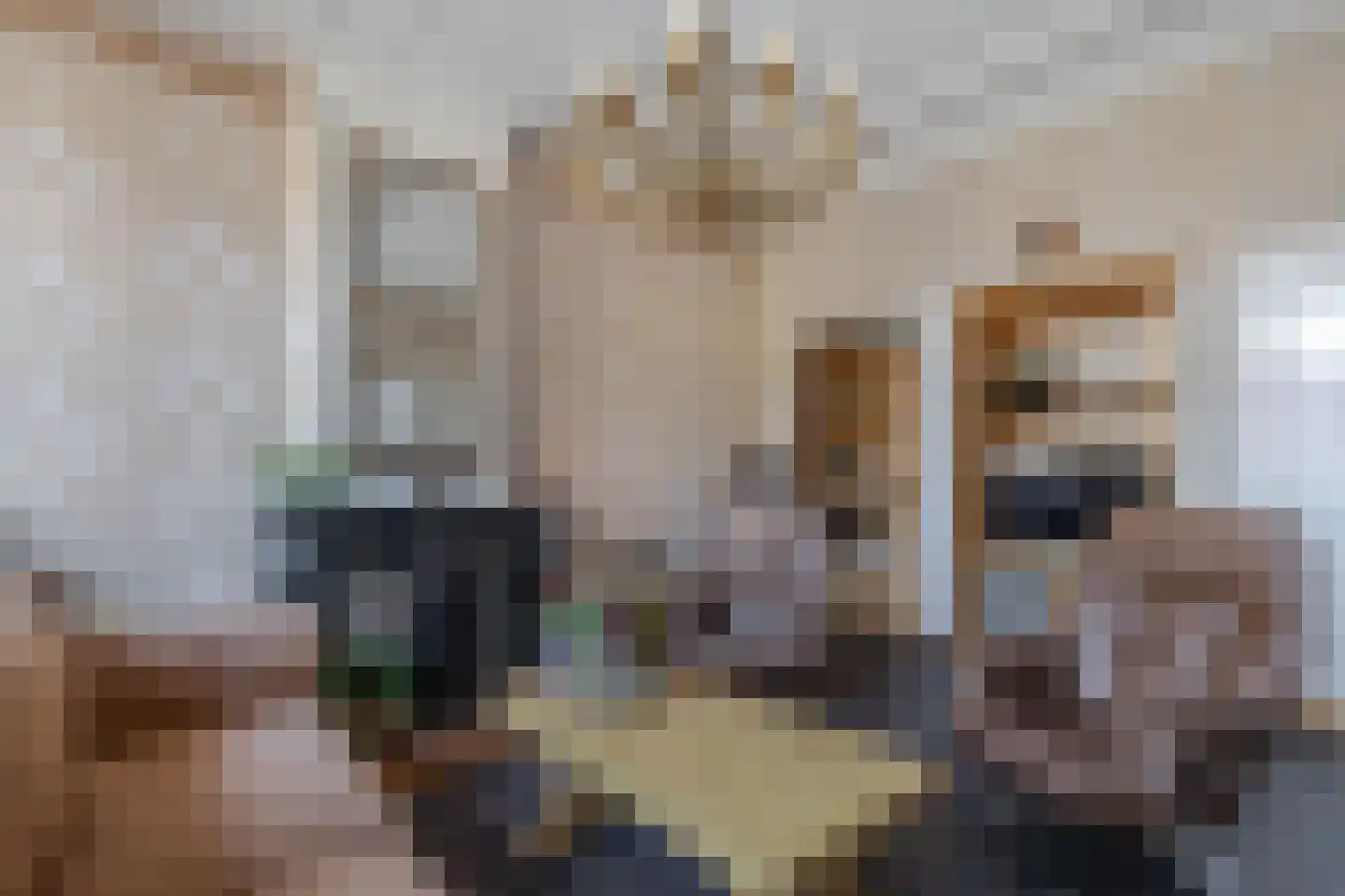 Terp 1 Sexbierum thumbnail 21