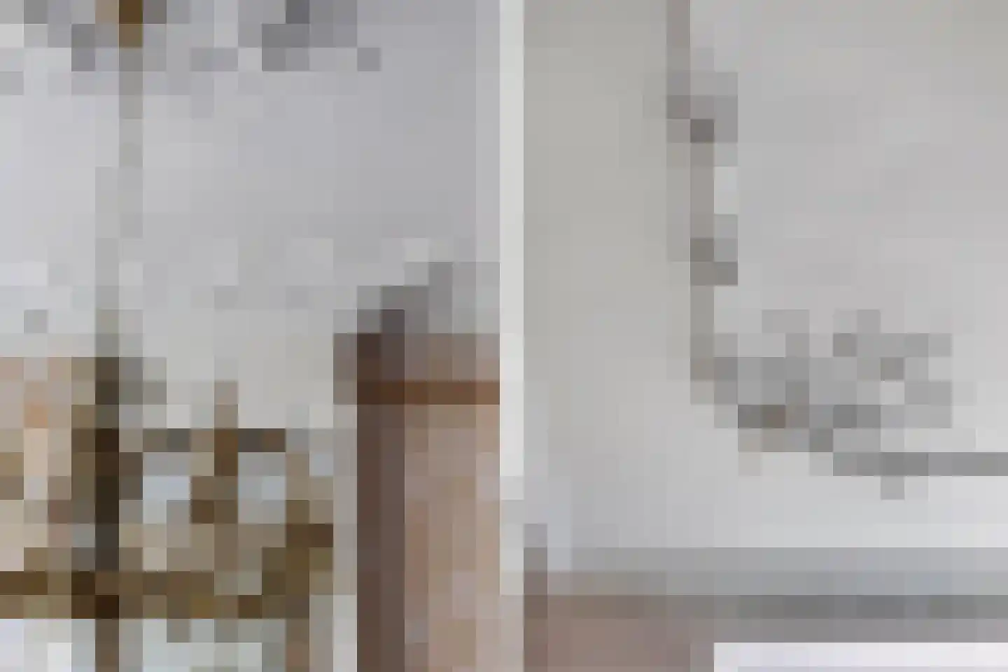 Terp 1 Sexbierum thumbnail 22